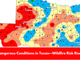 Dangerous Conditions in Texas—Wildfire Risk Rises