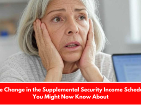 The Change in the Supplemental Security Income Schedule You Might Now Know About