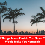 11 Small Things About Florida You Never Thought Would Make You Homesick