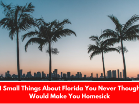 11 Small Things About Florida You Never Thought Would Make You Homesick