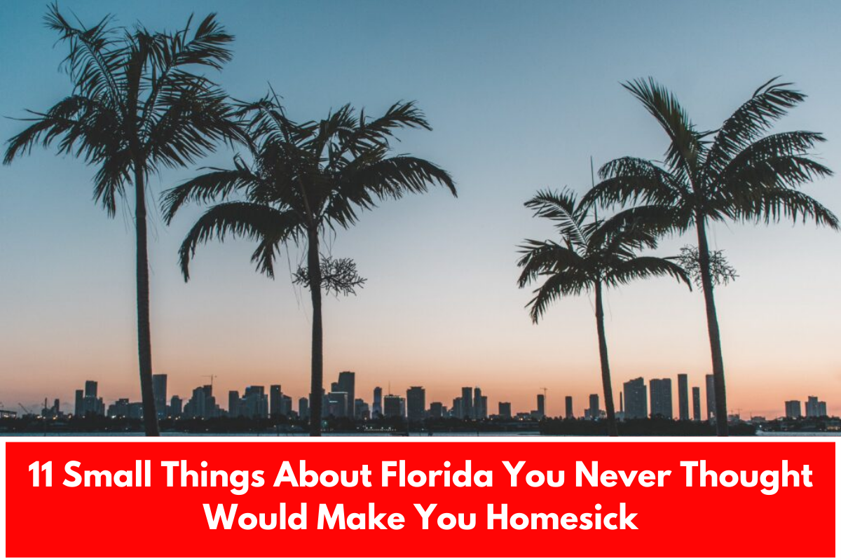 11 Small Things About Florida You Never Thought Would Make You Homesick