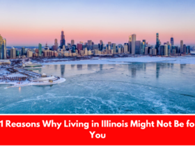 11 Reasons Why Living in IIIinois Might Not Be for You