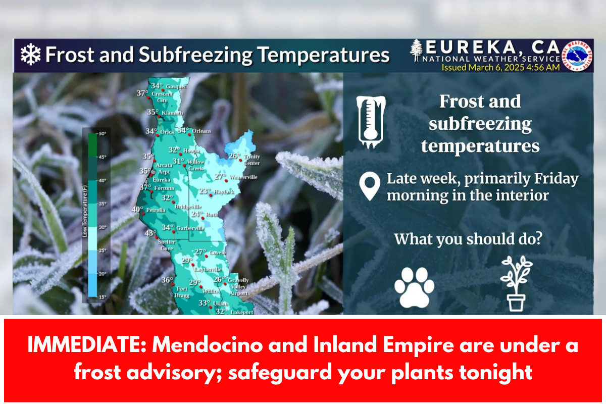 IMMEDIATE: Mendocino and Inland Empire are under a frost advisory; safeguard your plants tonight