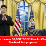 These are the new $5,000 “DOGE Stimulus Checks” that Elon Musk has proposed