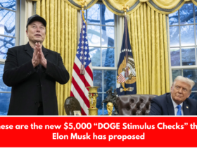 These are the new $5,000 “DOGE Stimulus Checks” that Elon Musk has proposed