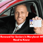 License Renewal for Seniors in Maryland: What You Need to Know