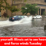 Brace yourself: Illinois set to see heavy rain and fierce winds Tuesday