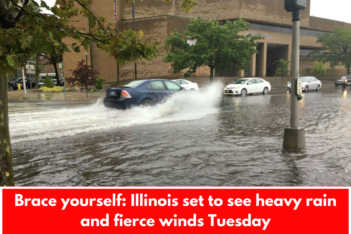 Brace yourself: Illinois set to see heavy rain and fierce winds Tuesday