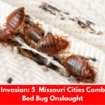 Insect Invasion: 5 Missouri Cities Combatting Bed Bug Onslaught