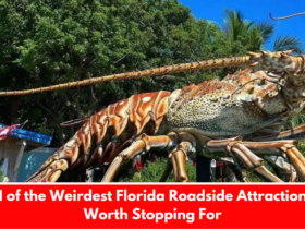 11 of the Weirdest Florida Roadside Attractions Worth Stopping For