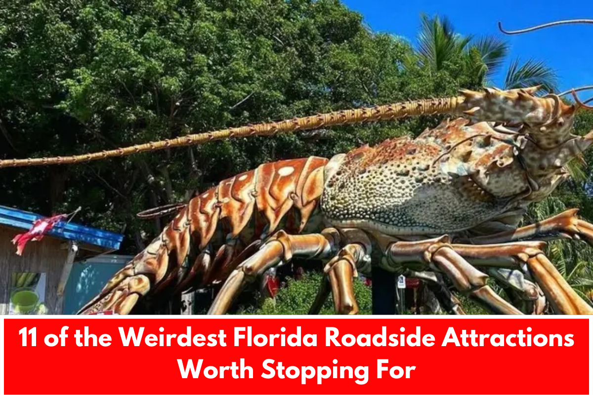 11 of the Weirdest Florida Roadside Attractions Worth Stopping For