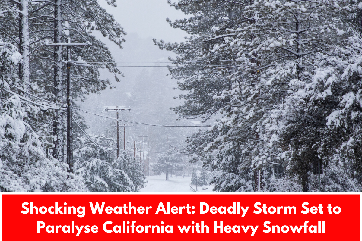 Shocking Weather Alert: Deadly Storm Set to Paralyse California with Heavy Snowfall