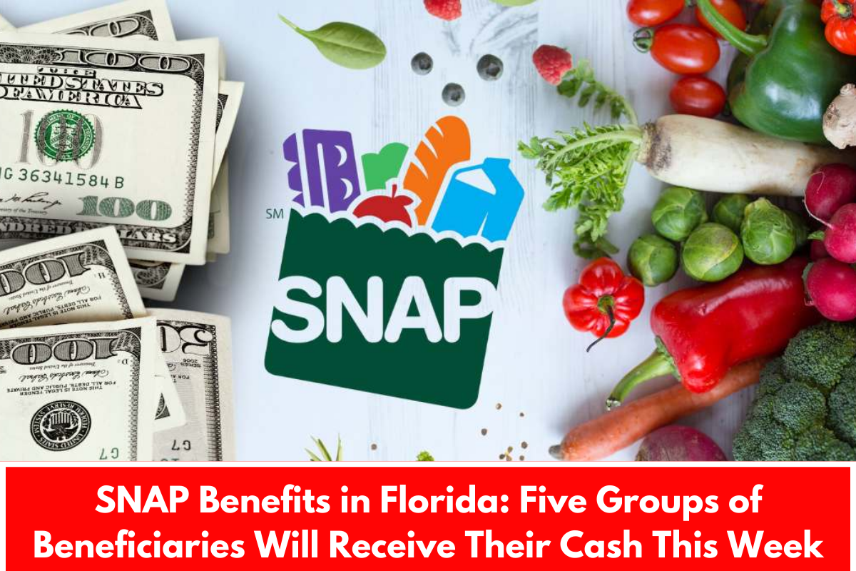 SNAP Benefits in Florida: Five Groups of Beneficiaries Will Receive Their Cash This Week